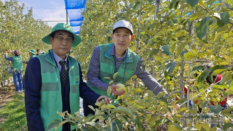 서울시 종로구새마을회 박내춘 회장이 사과나를 수확하고 있다. (사진-종로구 새마을회 제공)