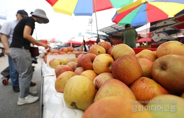 서울 전통시장 16곳에 농산물 납품단가 지원…최대 49.5% 할인
